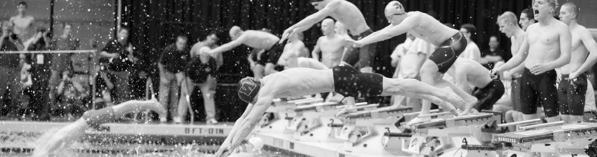 Black and white photo of swimmers diving