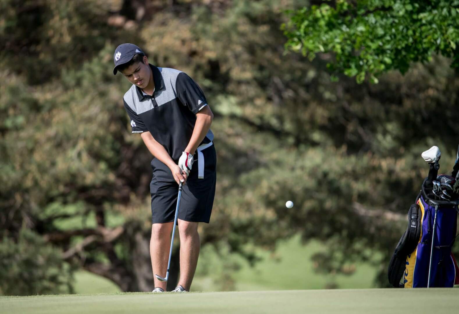 Golf: 2020 State Meet Sites, Spring Classifications