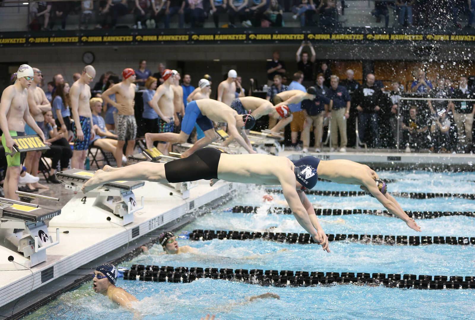 Swimming: 2021 Postseason Updates