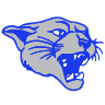 CAM logo