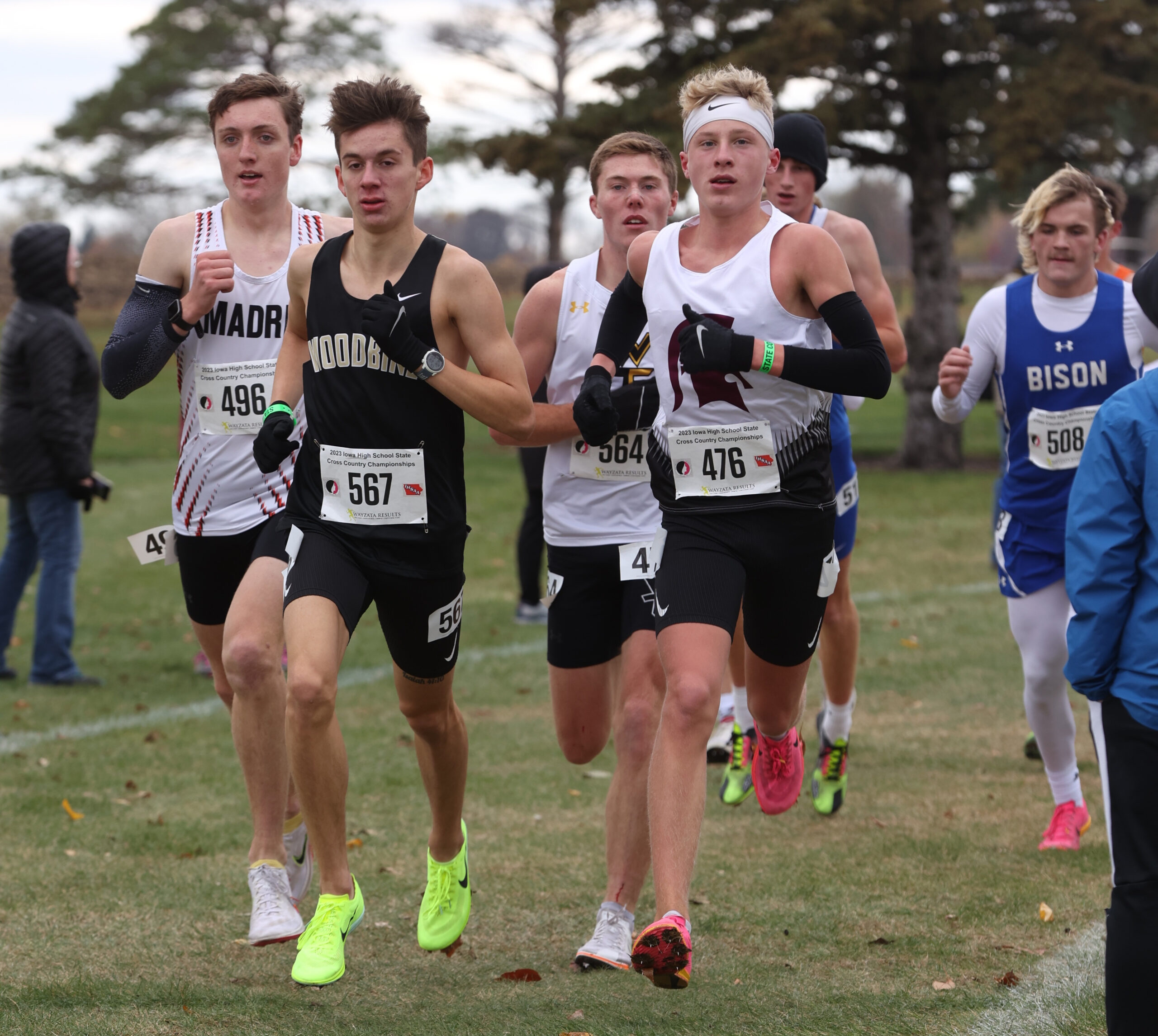 Baumspage Cross Country - wzo27a5